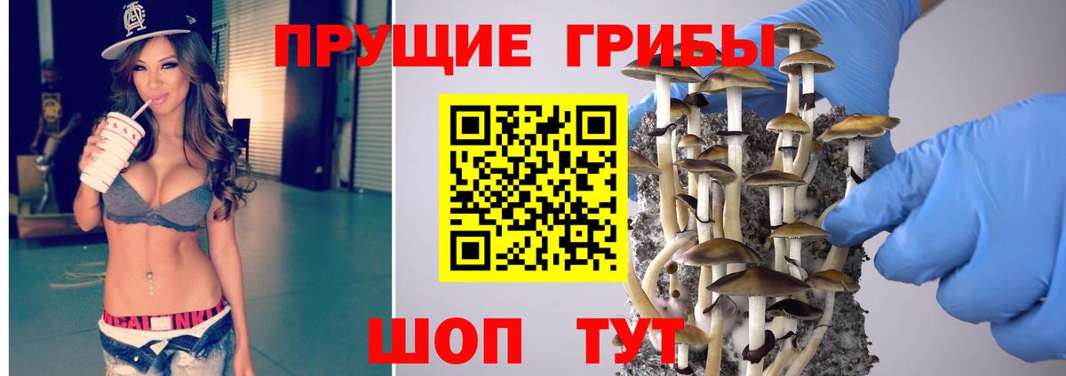 Псилоцибиновые грибы Psilocybe  Вход с VPN  Кировск  дарнет шоп  Галлюциногенные грибы Psilocybe 