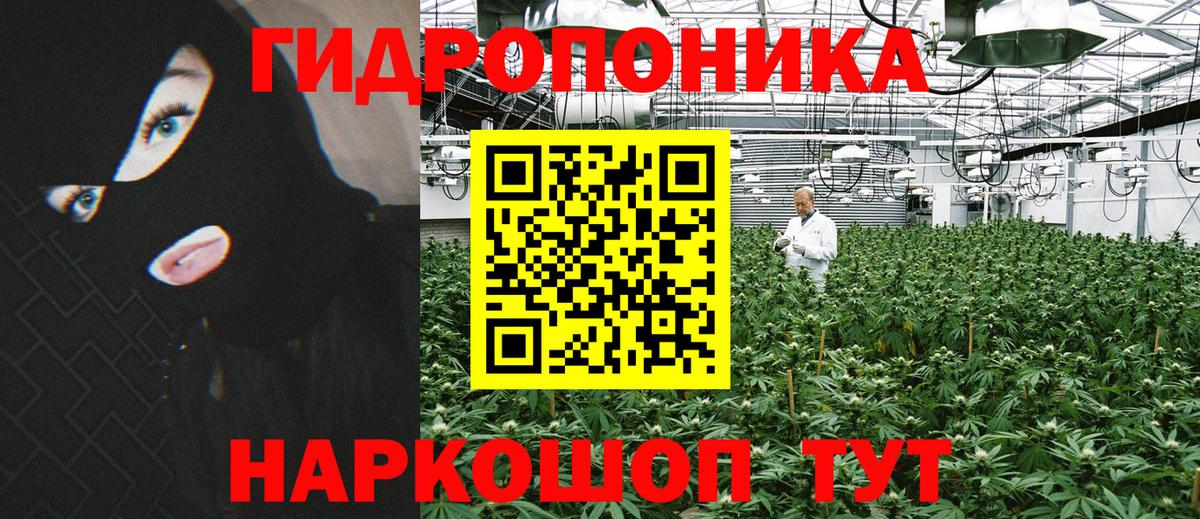 Бошки марихуана ГИДРОПОН Кировск
